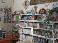 Гундоровская библиотека