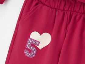 Комплект (свитшот+брюки) для девочки