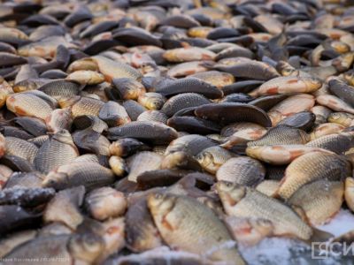 Районы Якутии передали часть улова с традиционной подледной рыбалки бойцам СВО