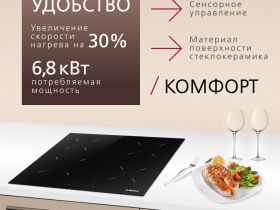 Индукционная панель Hansa BHI68302