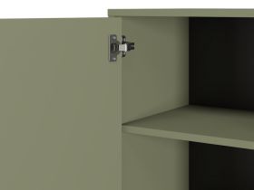 Распашной шкаф Торвалль 1.1-50x185 Оливковый