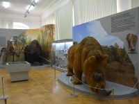 Астраханский краеведческий музей