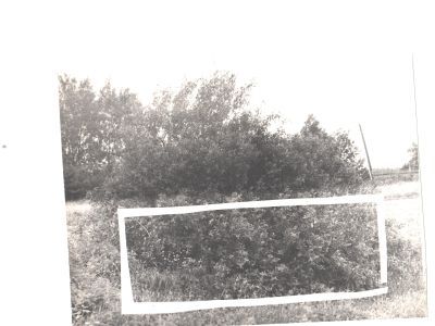 Братская могила советских граждан, казненных в 1942 г. за связь с партизанами