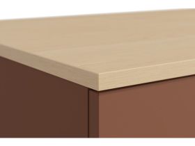 Стол-тумба Элвуд 267x78 Терракотовый