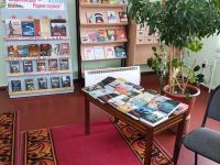 Модельная библиотека п. Памяти 13 Борцов