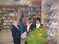 Подгородне-Покровская сельская модельная библиотека