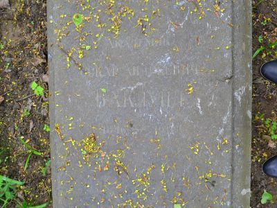 Могила Баклунда О.А. (1846-1916), астронома