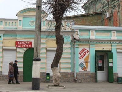 Дом Сафотерова В.Л.
