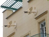 Ольгин павильон