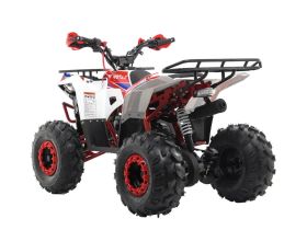 Квадроцикл MOTAX Grizlik A125