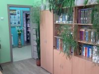 Пронская сельская библиотека № 8