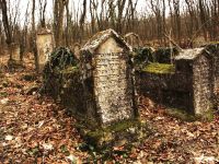 Бахчисарайский историко-культурный и археологический музей-заповедник