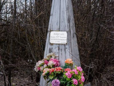 Могила секретаря волостного ревкома Живитько Ф.Я.