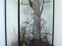 Лужский краеведческий музей