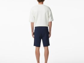 Мужские хлопковые шорты Lacoste