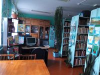 Большеселковская сельская библиотека – филиал № 4