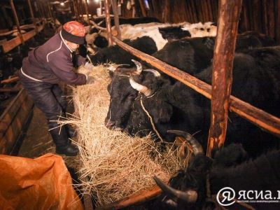 Интерес к сферам сельского хозяйства и фармацевтики вырос у жителей Дальнего Востока