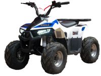Квадроцикл BISON ATV 110 Eagle New