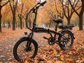 Электровелосипед Exegol EXC20M, год 2025, цвет Черный