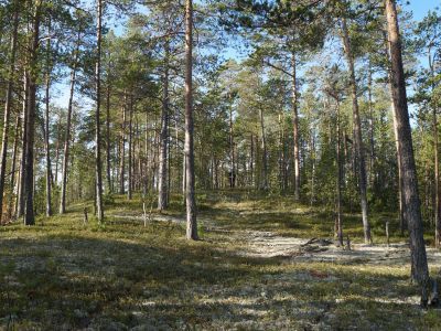 Святилище Плач-Пауль-Каим-Кот-Мых-Ики