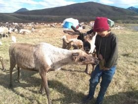 Кочевая семья Сыроватских: Традиции воспитания и успехи на соревнованиях