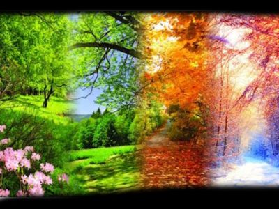 Времена года. Вивальди. Моцарт. Маленькая ночная серенада