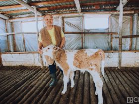 День сайылыка в Якутии: прогулка по летней ферме в Намском улусе