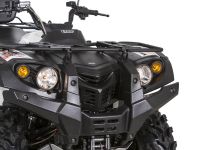 Квадроцикл BALTMOTORS Striker 700 EFI (ПСМ)