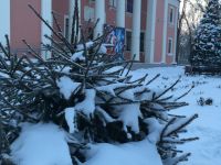 Староджерелиевский сельский дом культуры