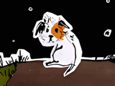 Умная собачка Соня