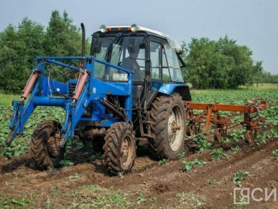 В Хангаласском районе проведут республиканский «День поля»