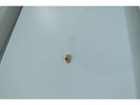 Письменный стол Бинкер 120x60 Белый