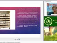 Развитие познавательной сферы у детей с ОВЗ в индивидуальной работе педагога-психолога