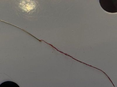 Иголку для шитья извлекли ветеринары Якутии из глотки домашней кошки