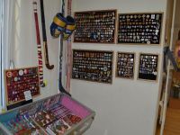 Музей спортивной славы Зеленоградского административного округа города Москвы