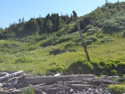 Тоня "Анфимово"