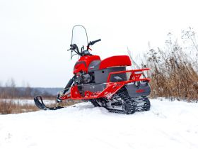 Снегоход IRBIS Dingo T150