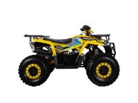 Квадроцикл AVANTIS Oрtimа 8 New Luх 125