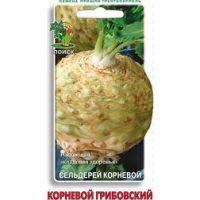 Сельдерей корневой Корневой Грибовский