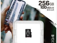 Canvas Select Plus microSDXC UHS-I Class 10 256GB