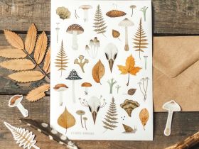 Стикеры Дворникова А. "Птичий череп и листья"