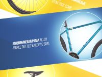 Дорожный велосипед Atom Symbiotic Cross M, год 2024, цвет Зеленый-Синий, ростовка 18.5