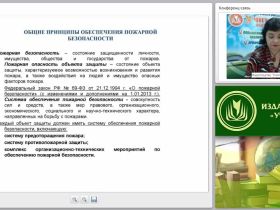 Организационные основы обеспечения пожарной безопасности организации