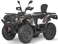Квадроцикл BALTMOTORS BM500 EFI LE