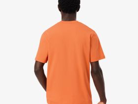 Мужская хлопковая футболка Lacoste с коротким рукавом