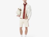 Мужские шорты Lacoste из хлопка