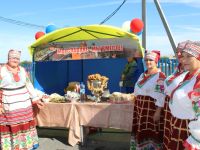 Плавицкий сельский дом культуры