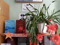 Библиотека села Комсомольское