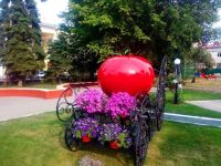 Детский парк «Гномик»