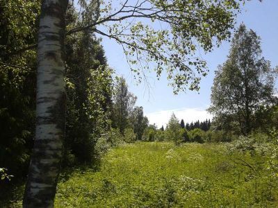 Усадьба И.И. Кушелева, Юрьева